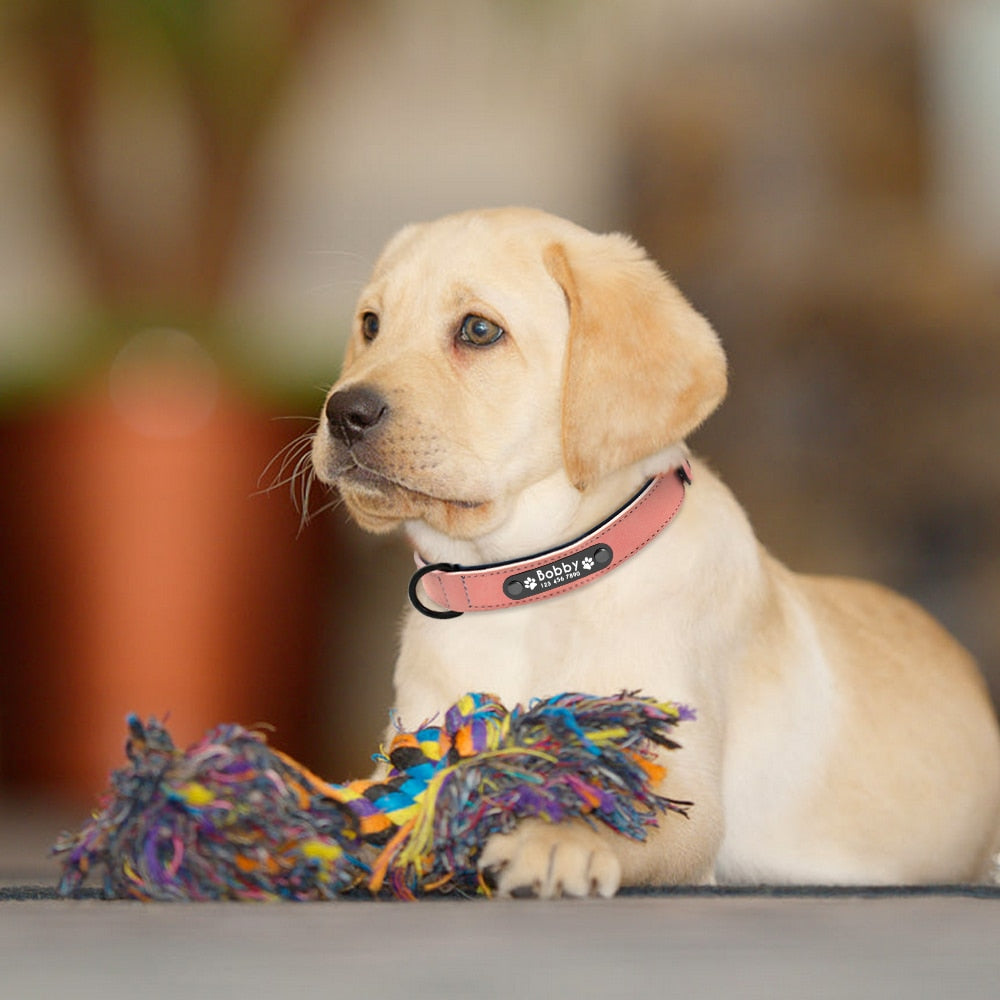 Duggido Personalized Dog Collars