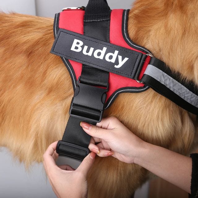 Duggido Dog Supplies No Pull Personalized Dog Harness  - Duggido