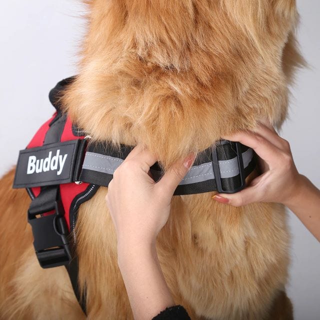 Duggido Dog Supplies No Pull Personalized Dog Harness  - Duggido