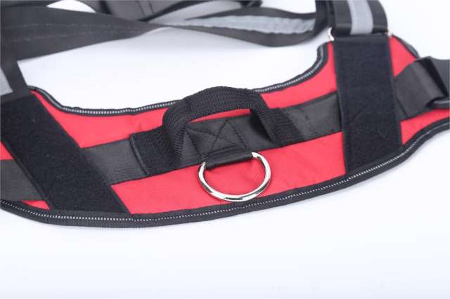 Duggido Dog Supplies No Pull Personalized Dog Harness  - Duggido